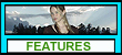 TALON FEATURES