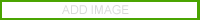 CLICK TO ADD IMAGE TO PROFILE