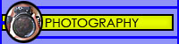 Modeling Photography Services - Modeling Portfolio Photography and Model Testing